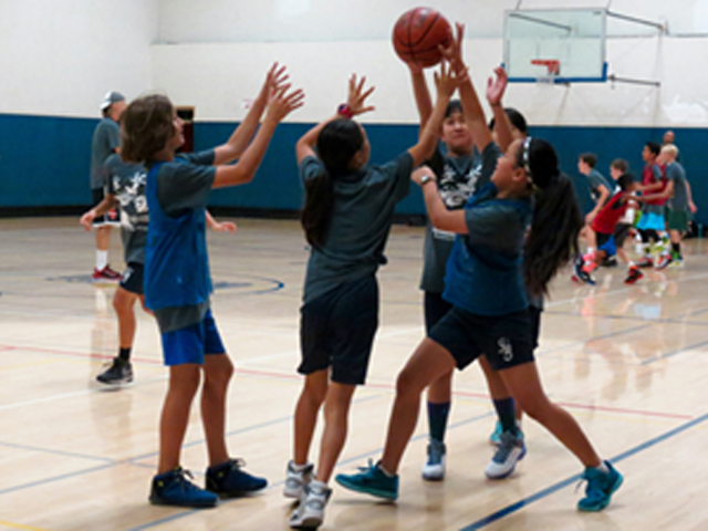 PHOTO girls rebounding